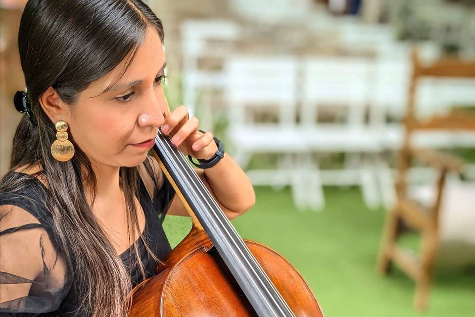 Verné Música para ceremonias