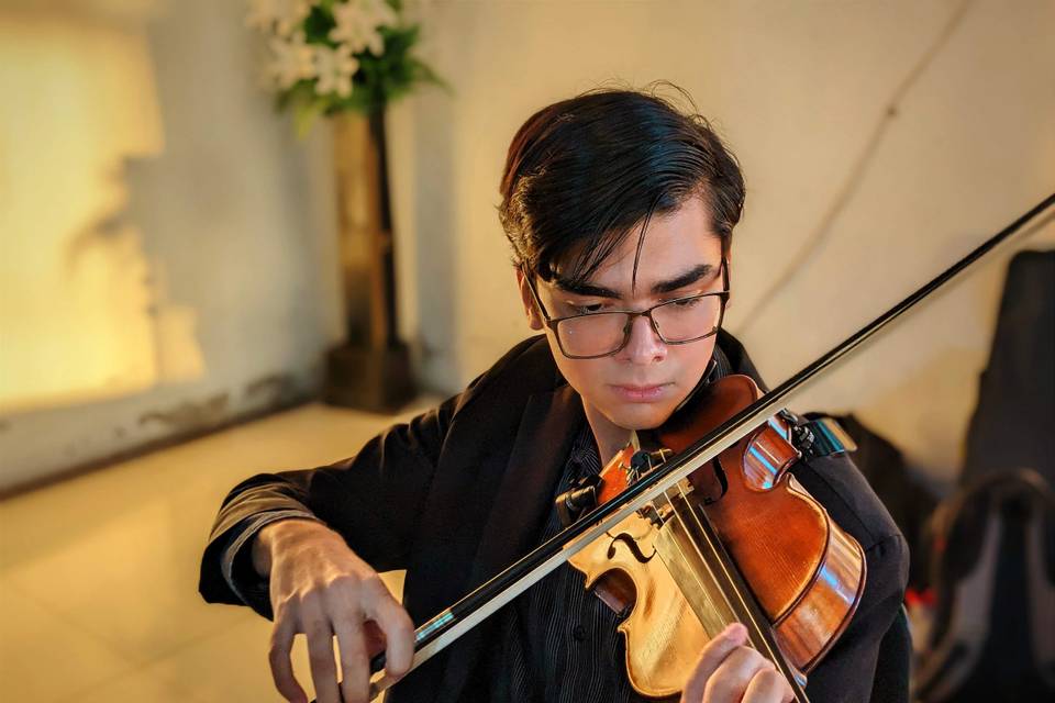 Violinista