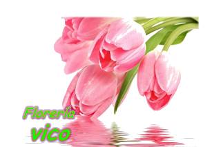 Florería Vico logo