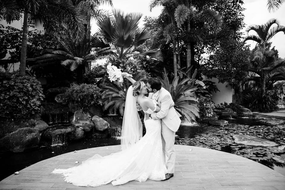 Cascada de Amor