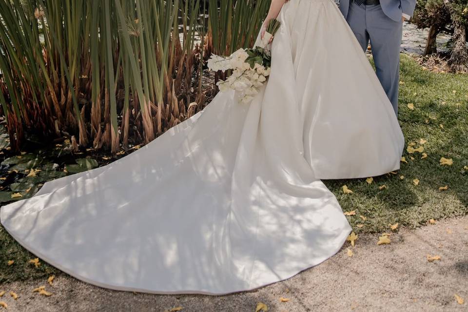 Novios