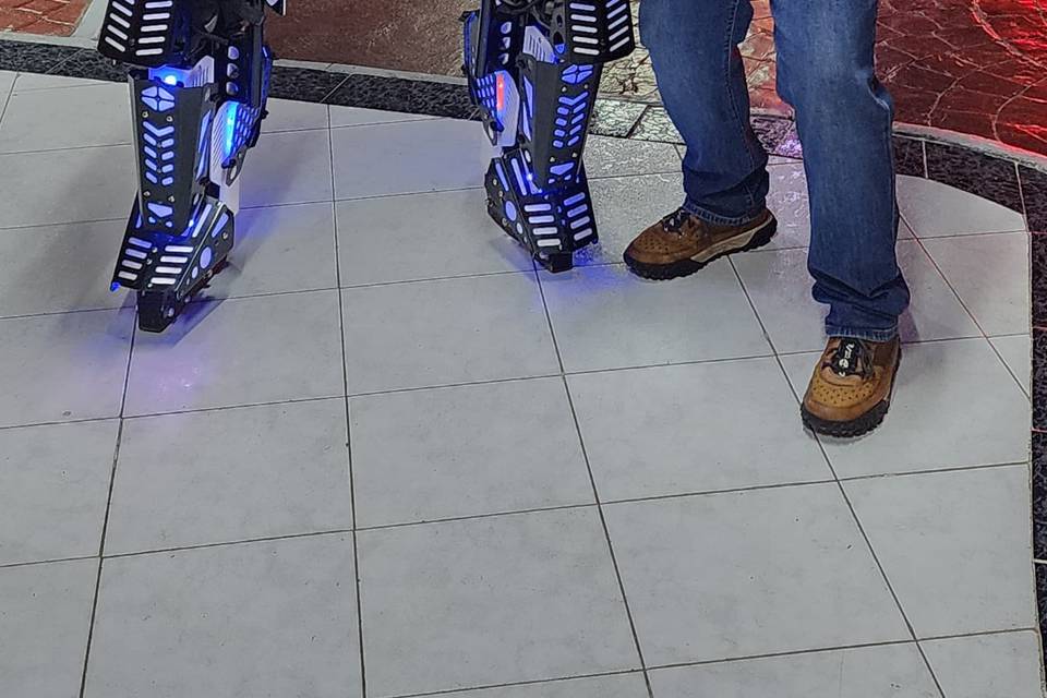 Robot