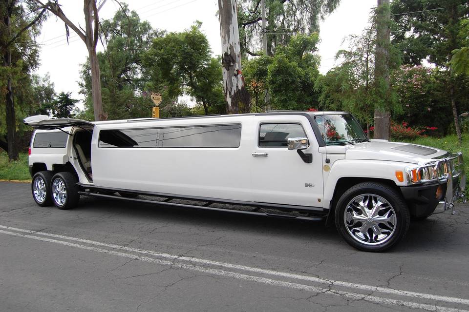 Wedding Cars México