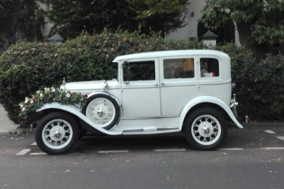 Wedding Cars México