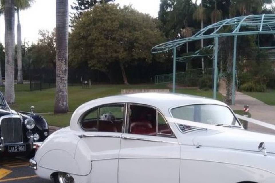 Wedding Cars México