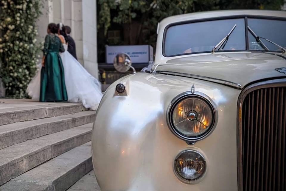 Wedding Cars México