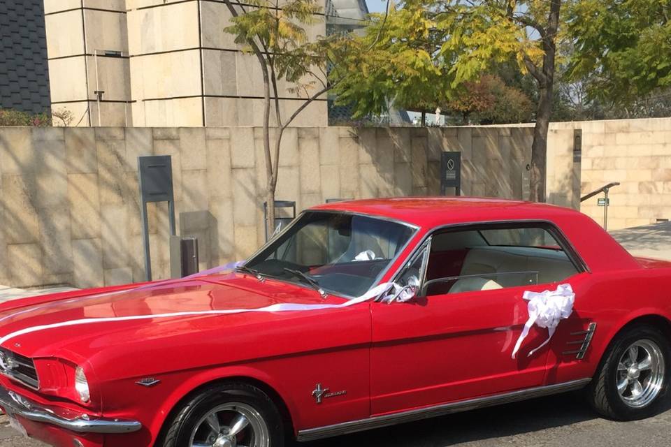 Wedding Cars México