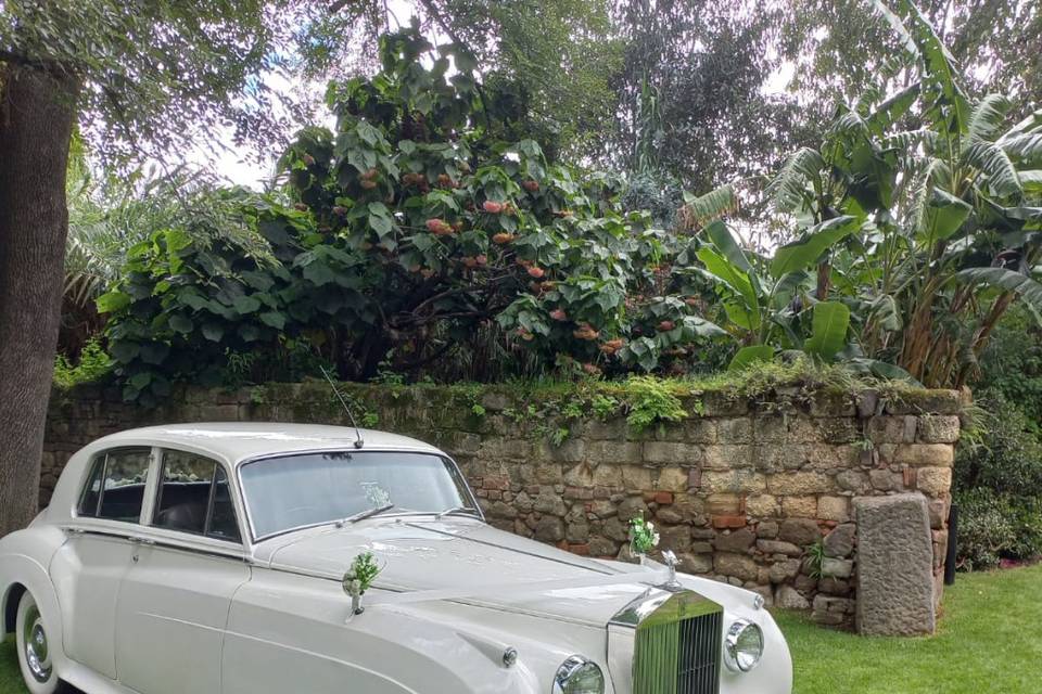 Wedding Cars México