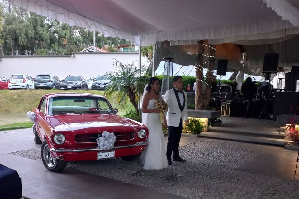 Wedding Cars México