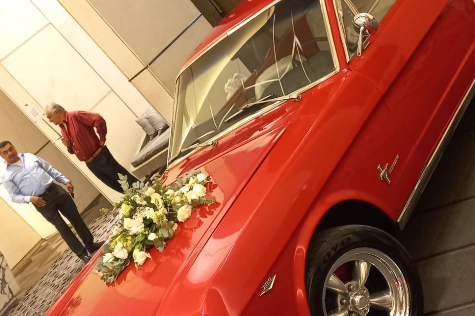 Wedding Cars México