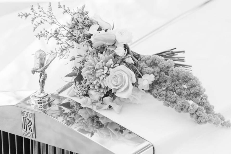 Wedding Cars México