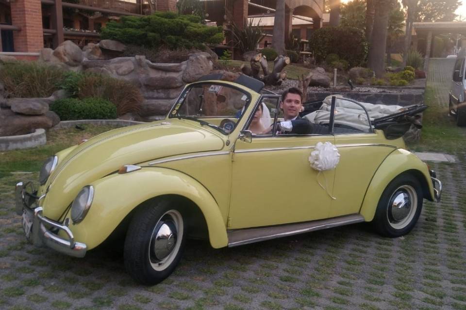 Wedding Cars México