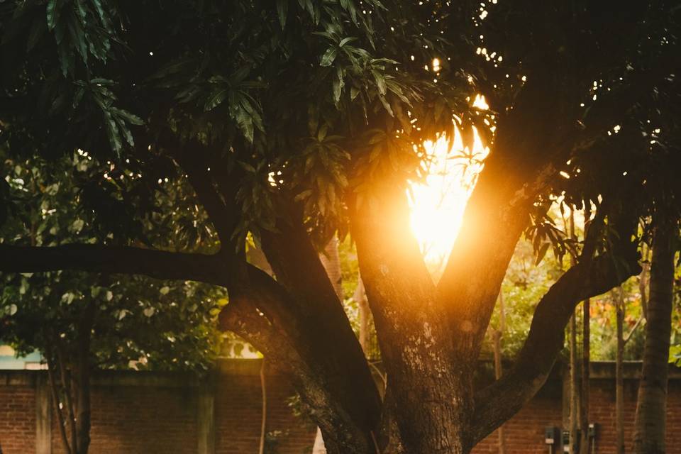 ATARDECER