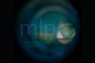 MLP Foto y Video logo