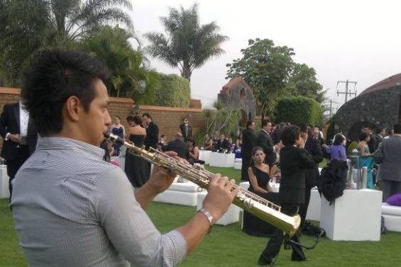 Buena covertura musical