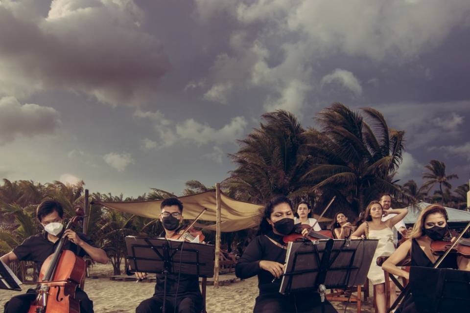 Violinista Acapulco