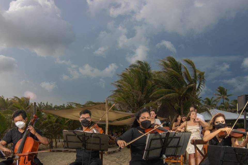 Cuarteto bodas Acapulco