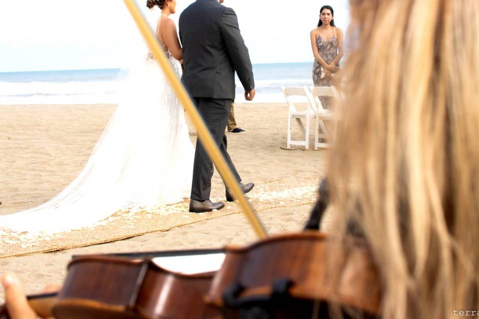 Bodas Acapulco