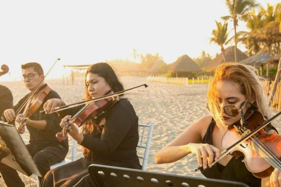 Boda civil violín