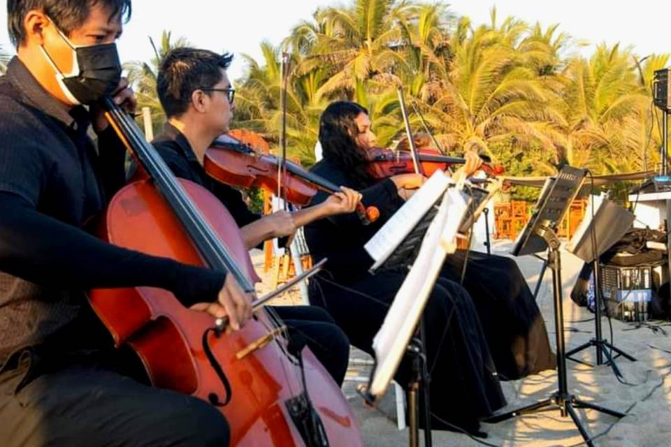 Bodas en Acapulco