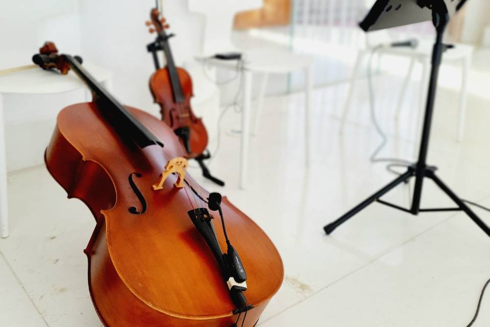 Cello y violín