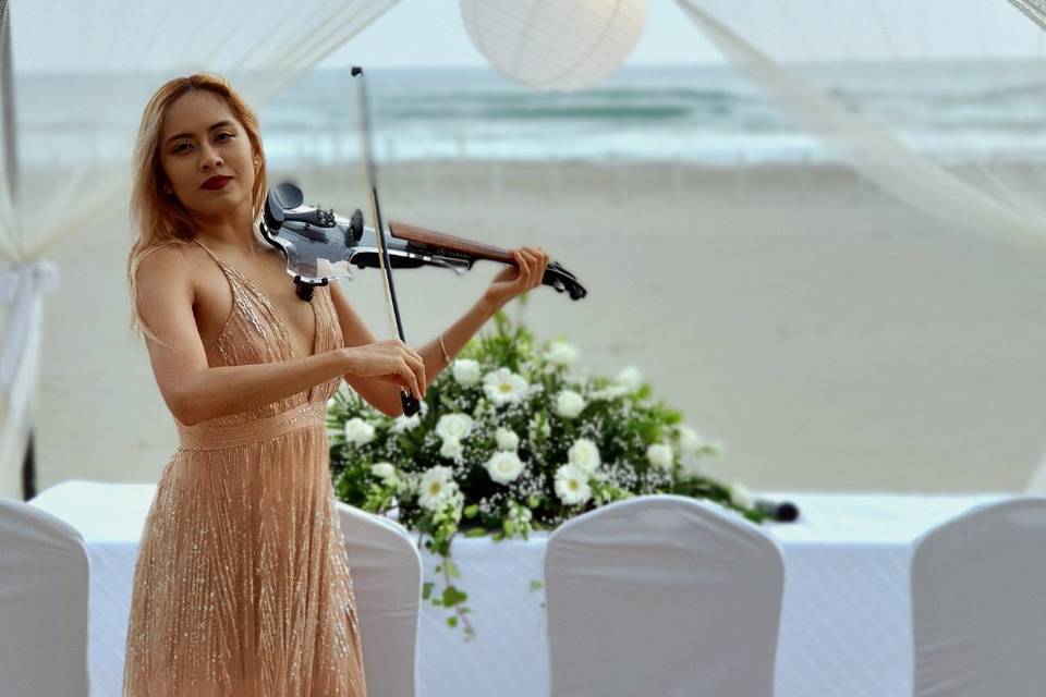 Boda civil con violinista