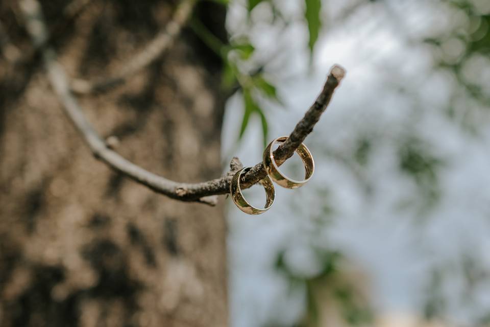 Anillos