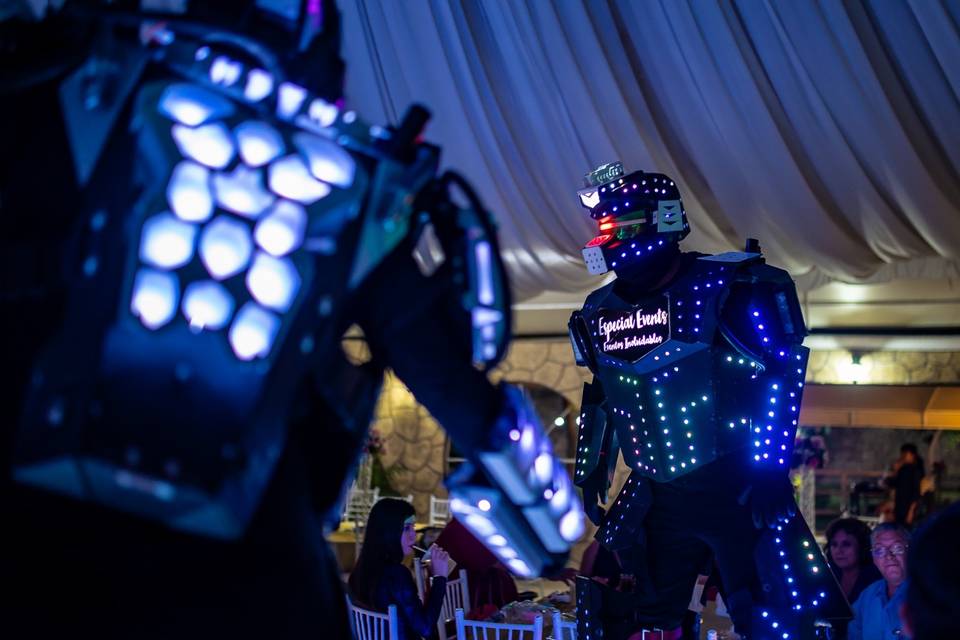 Robot
