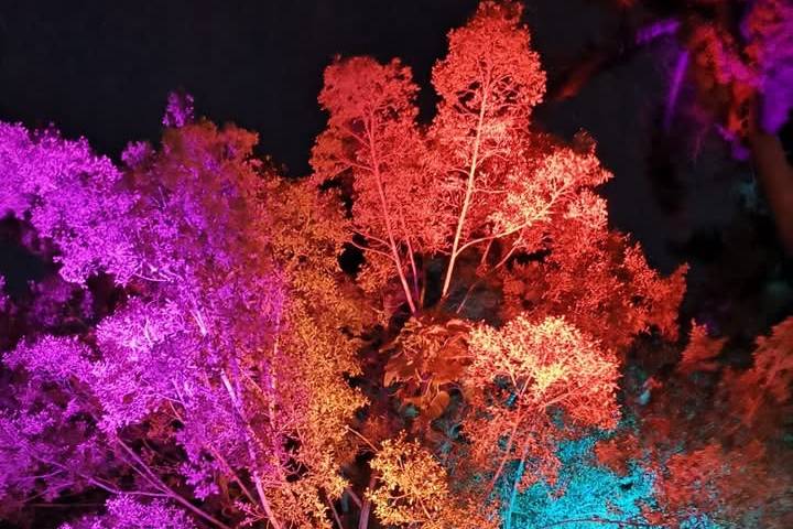 Iluminación arquitectónica