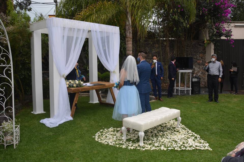 Bodas Petit