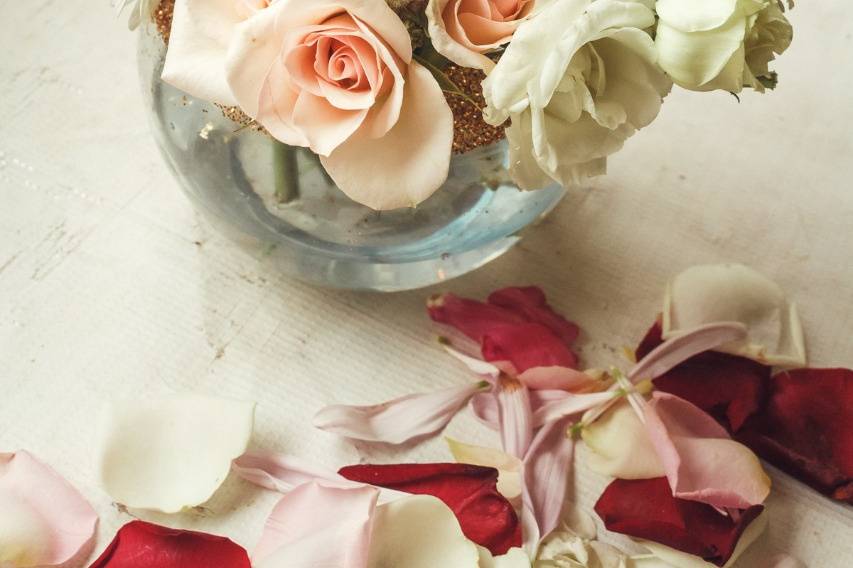 Iris Deco
