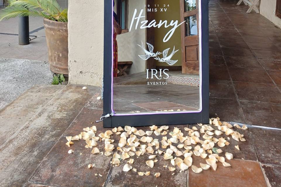 Iris Deco