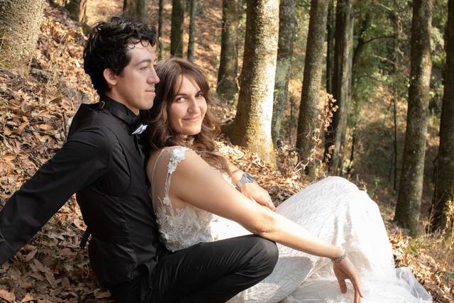 Novios sentados en el bosque