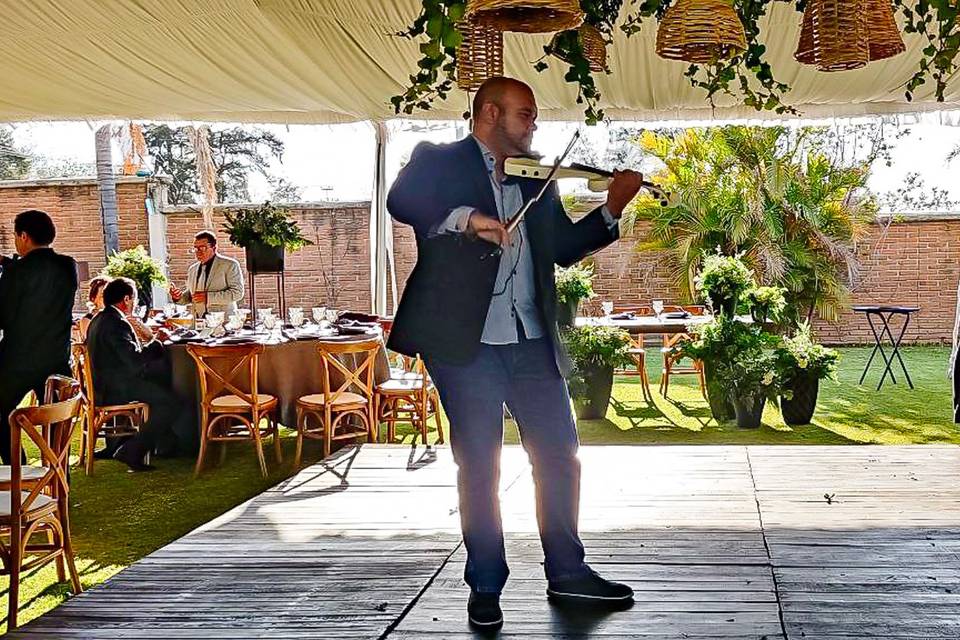 Violín Magic
