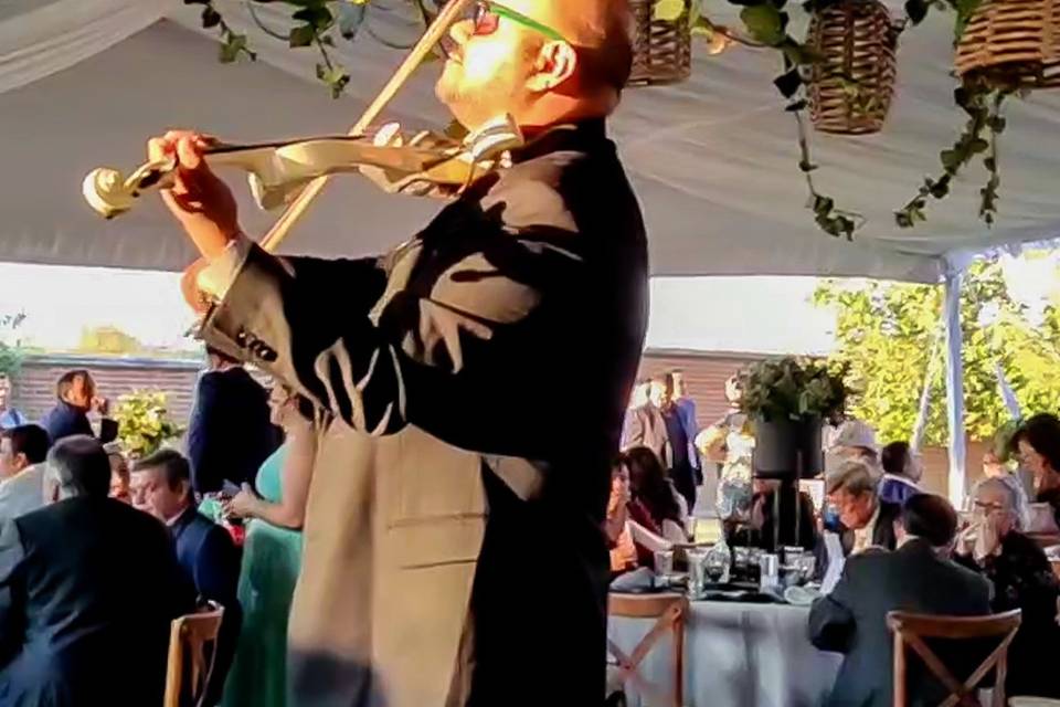 Violín Magic