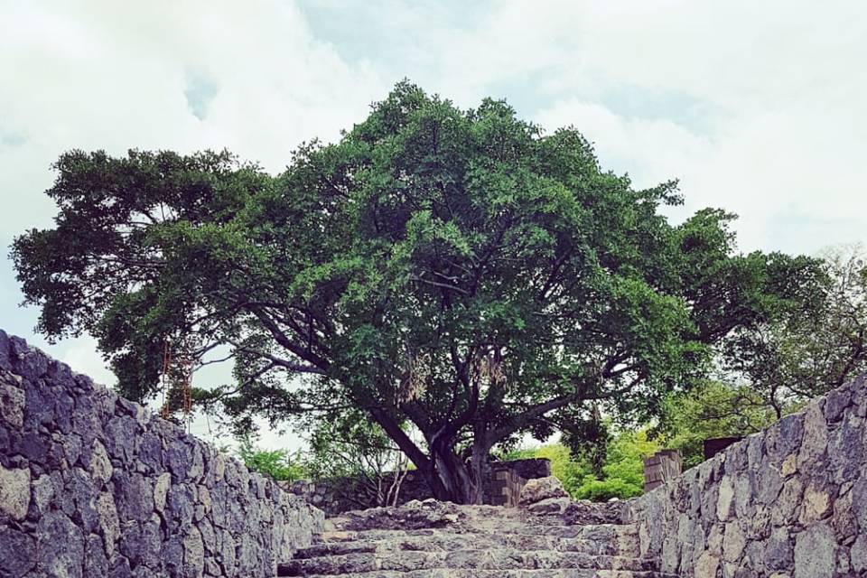 Piedra Alta - Grupo Constanza