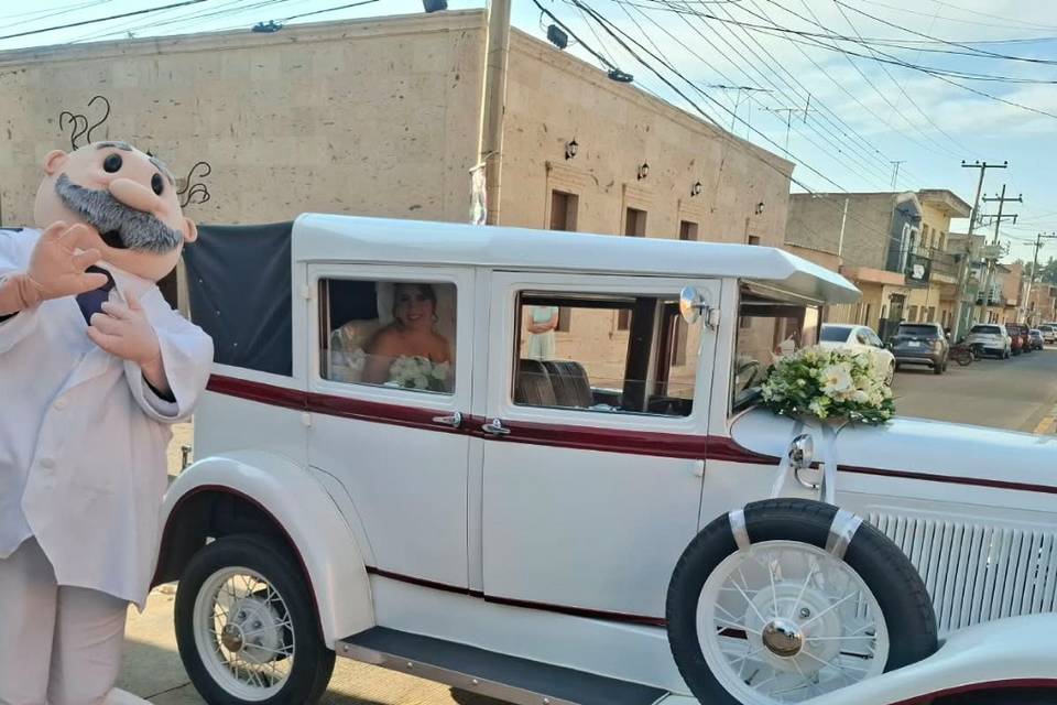 Ford 31