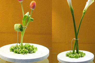 Centro de mesa Arezzo