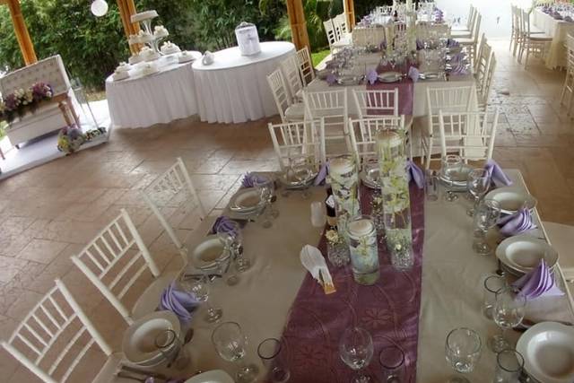 Meseros Plus de Xalapa