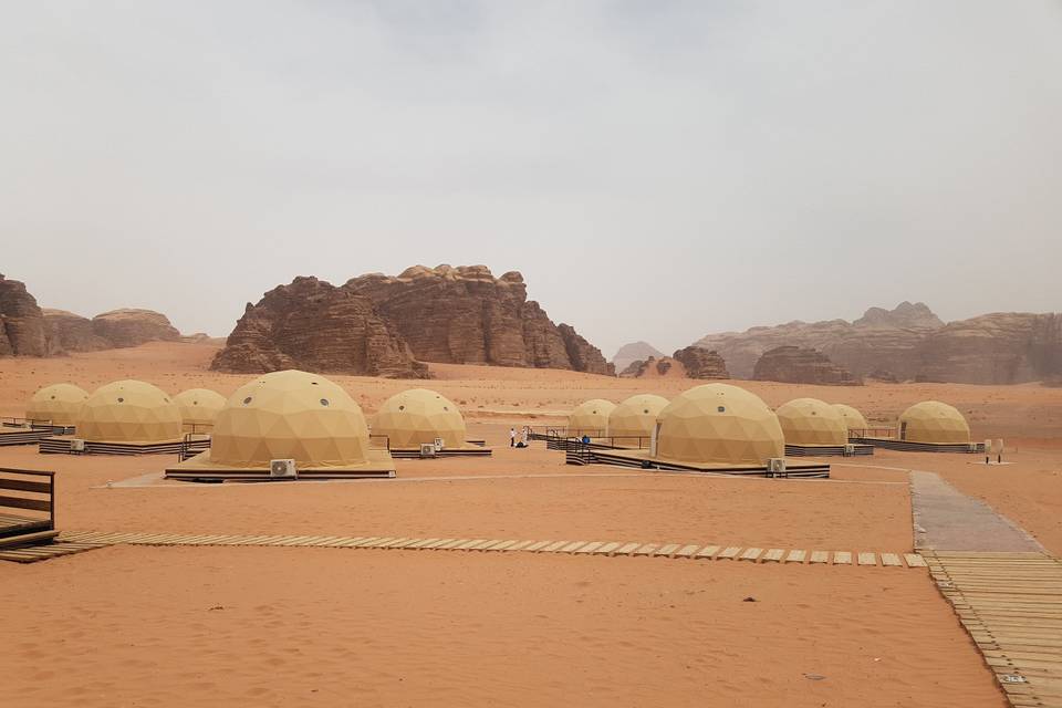 Beduino en camellos