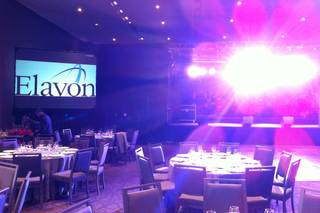Eventos Alebrijes