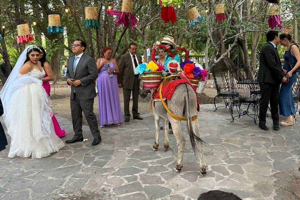 Fiesta de novios