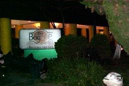 Decoración de jardines