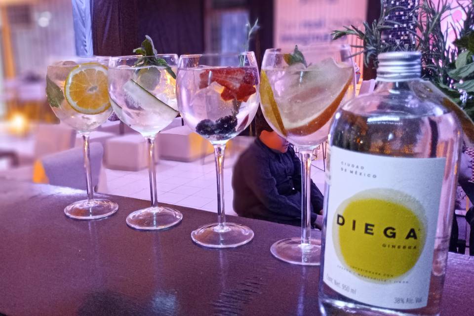 Barra de Gin Tonic