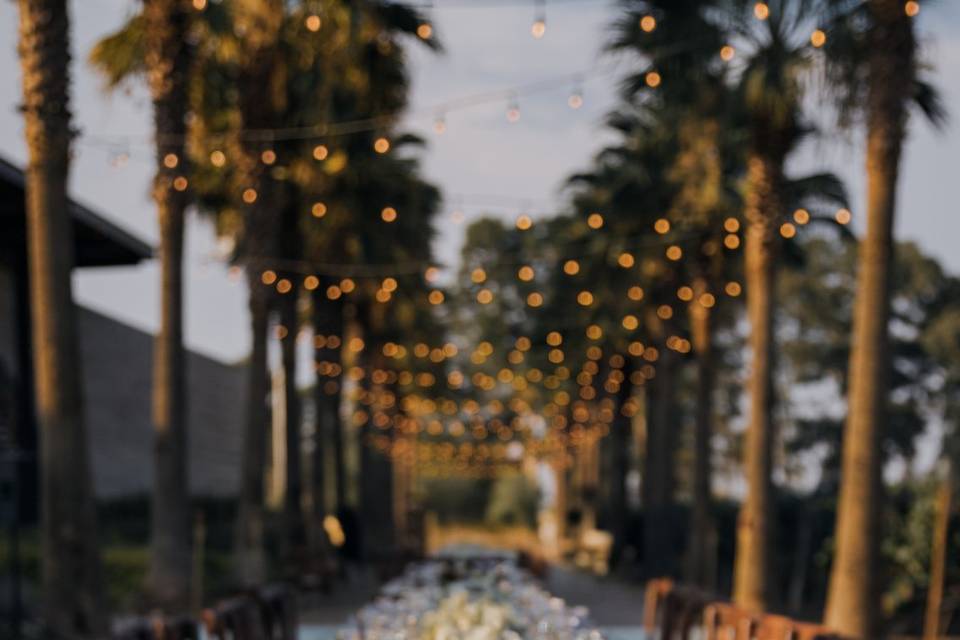 Boda en Viñedo Pozo de Luna