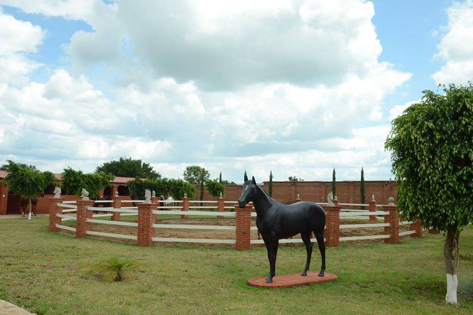 El jardín