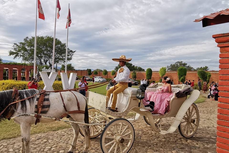 Quinta La Consentida