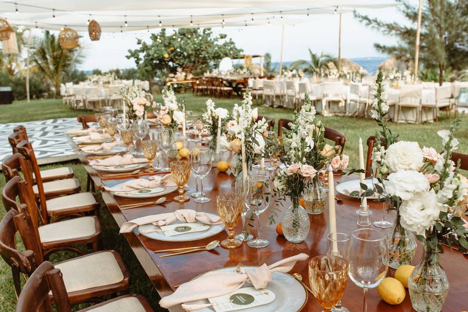 BODA PAME & ALE