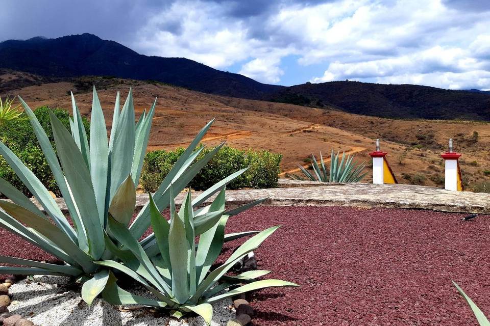 Vista a las montañas