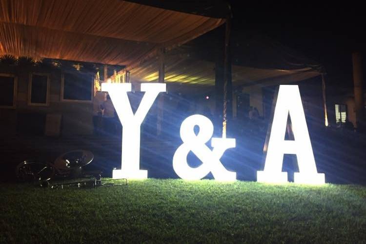 Y&A light